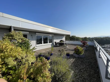 Dachterrasse - Wohnung kaufen in Gevelsberg - Dem Himmel so nah!Modernisierte 4-Zimmer- Eigentumswohnung in Gevelsberg