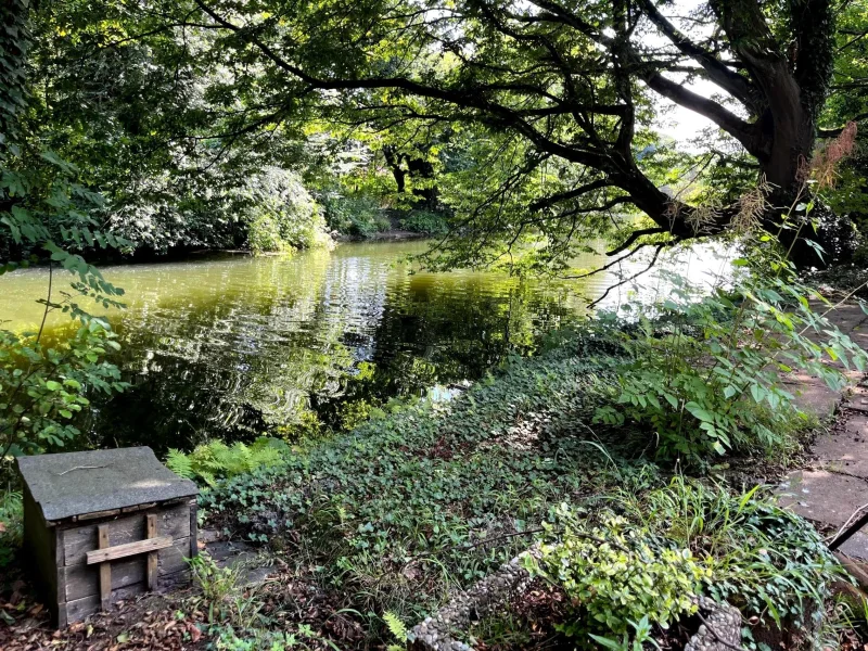 Direkt am Wasser