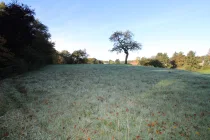 BLICK AUF DAS GRUNDSTÜCK