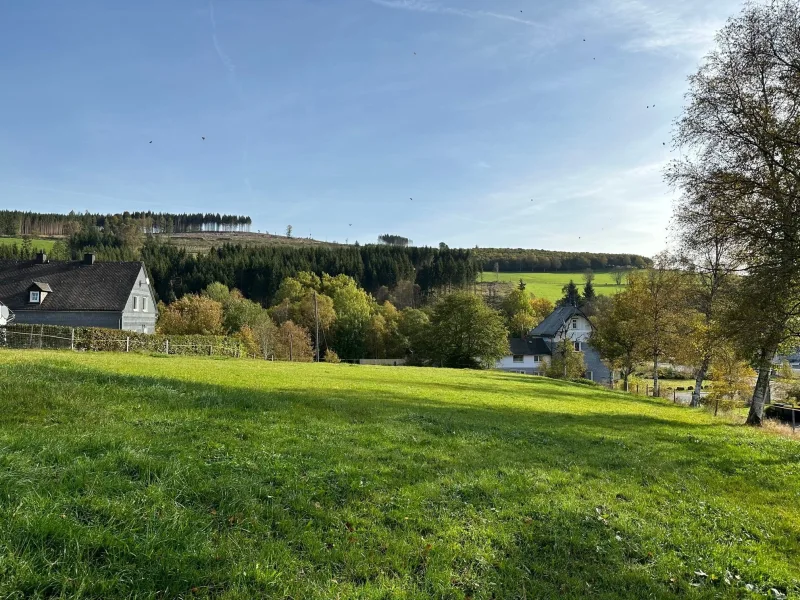 Ansicht des Grundstücks