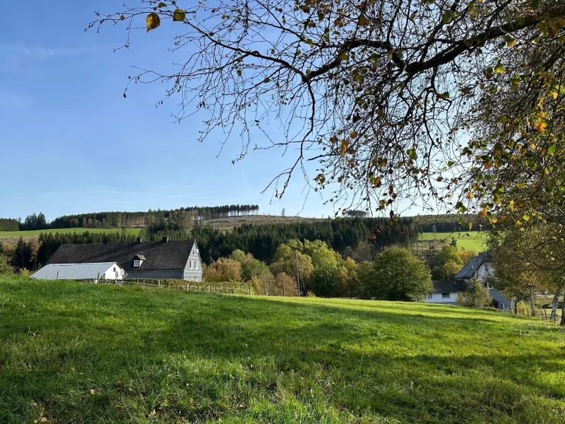 Ansicht des Grundstücks