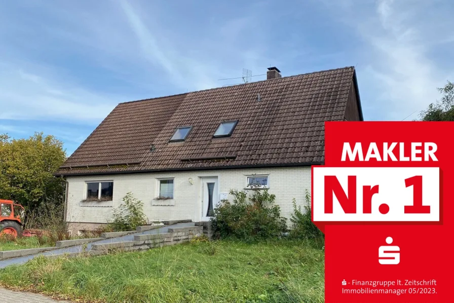 Straßenansicht - Haus kaufen in Erndtebrück - Großzügiges Einfamilienhaus mit Blick ins Grüne