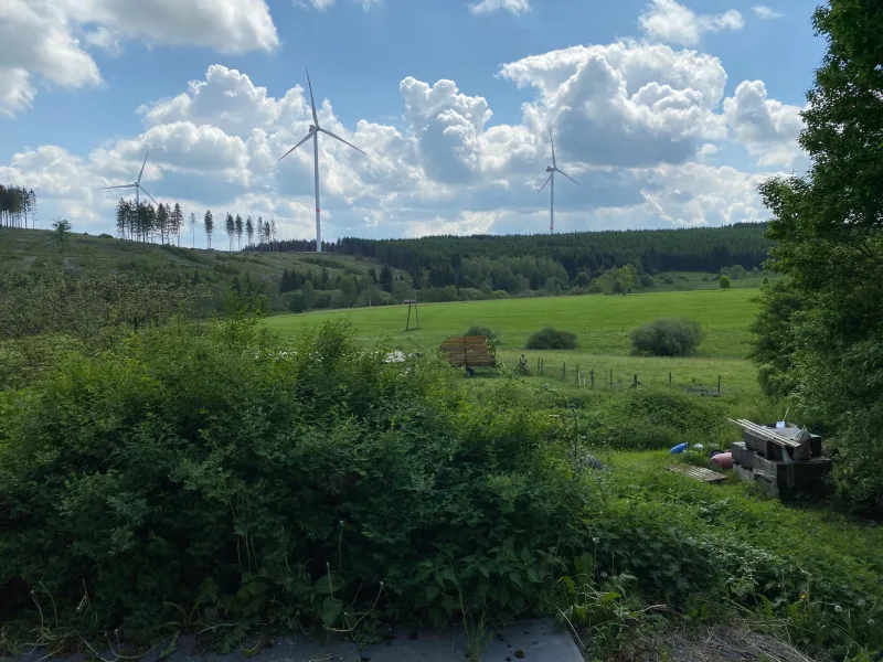 Ausblick ins Grüne