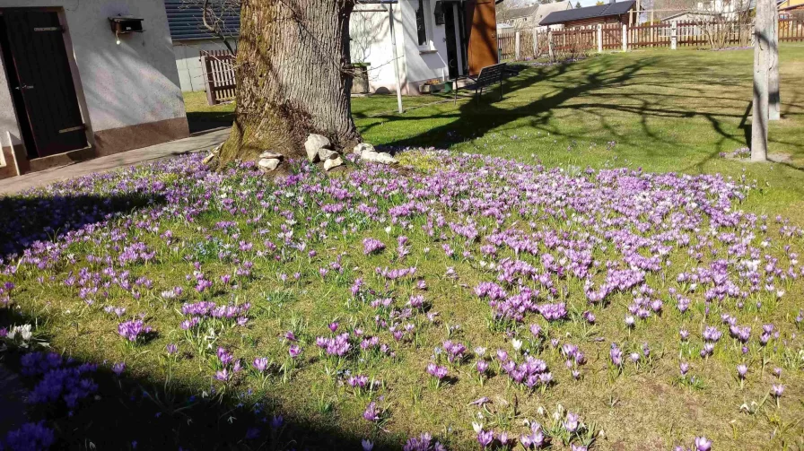 Im Frühling