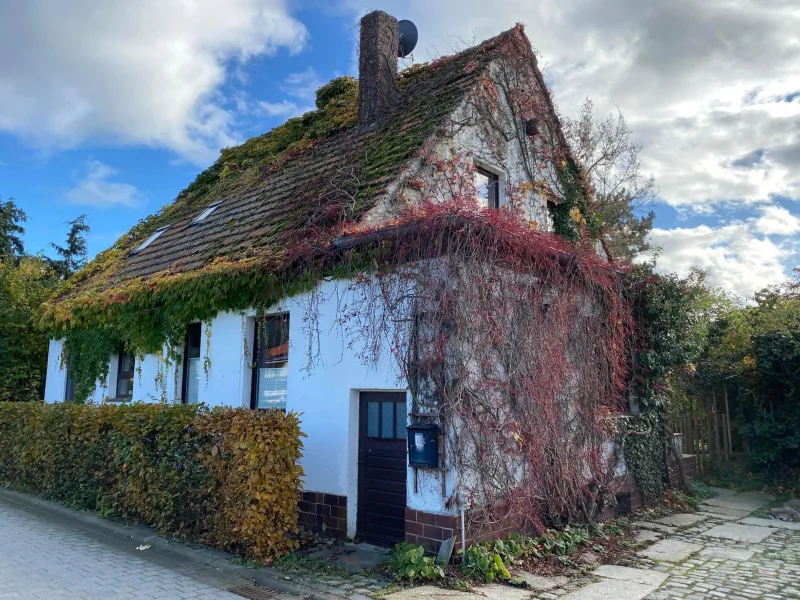 Hausansicht - Haus kaufen in Halberstadt - Gemütliches Zuhause mit grünem Paradies