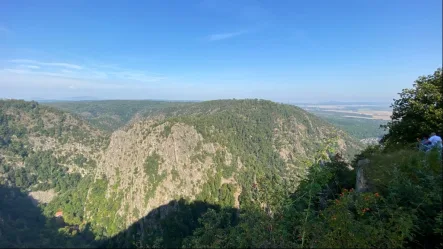 Ausblick - Gastgewerbe/Hotel kaufen in Thale - Hexentanzplatz: sagenhaft, umsatzstark!