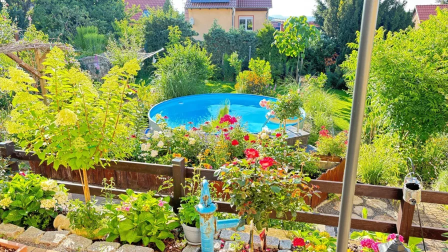 Garten im Sommer