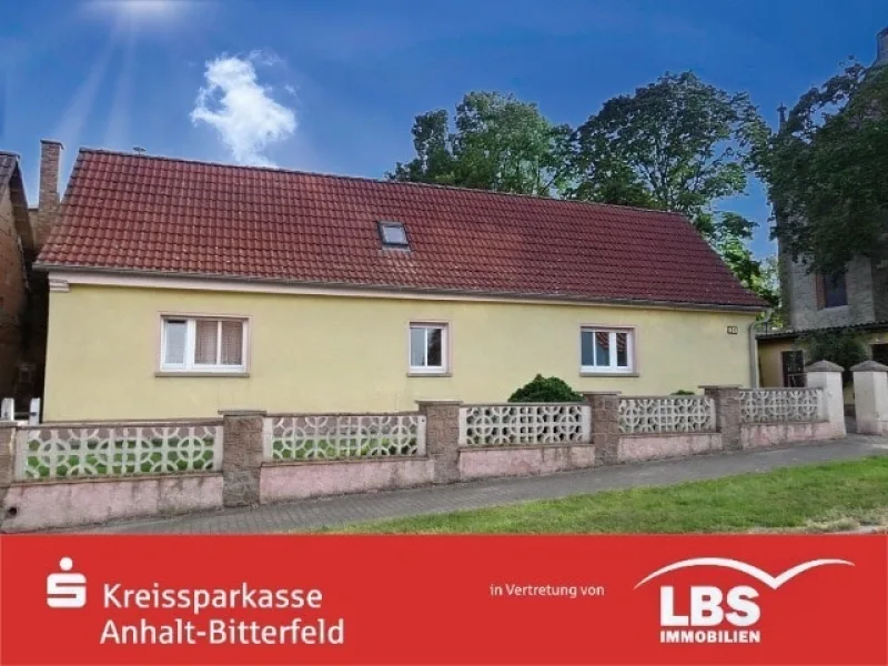 Foto-Vorderansicht - Haus kaufen in Osternienburger Land - Packen Sie es an!