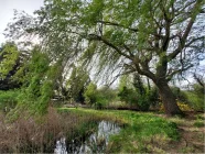 Gartenteich