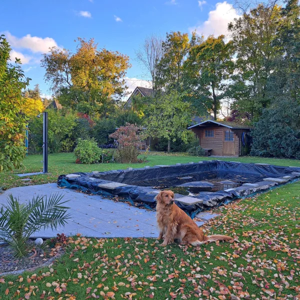 Pool und Gerätehaus