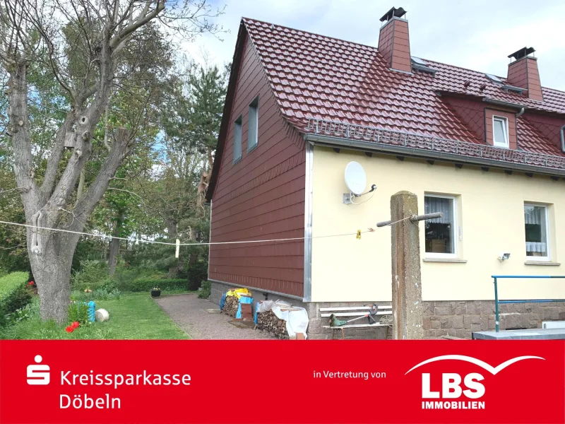 IMG_4855 - Haus kaufen in Döbeln - Kleine DHH mit Garage u. Garten in grüner Stadtrandlage