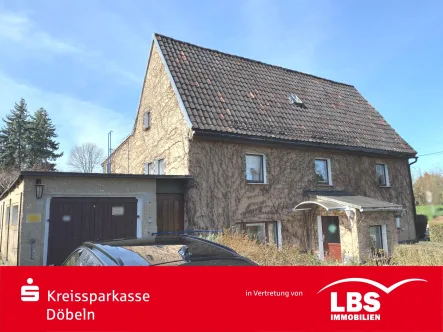 IMG_4527 - Haus kaufen in Leisnig - EFH mit großem Grundstücksareal am Feldrand