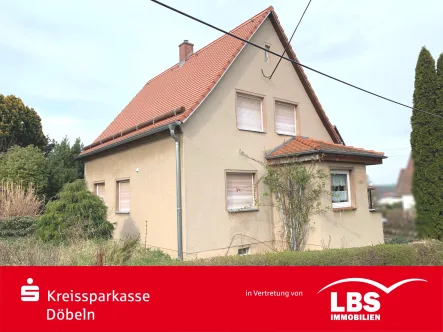 IMG_4690 - Haus kaufen in Leisnig - EFH mit Terrasse u. Garage in begehrter Wohnlage