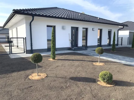 Straßenansicht - Haus mieten in Döbeln - Zu Mieten! Neu errichteter Bungalow