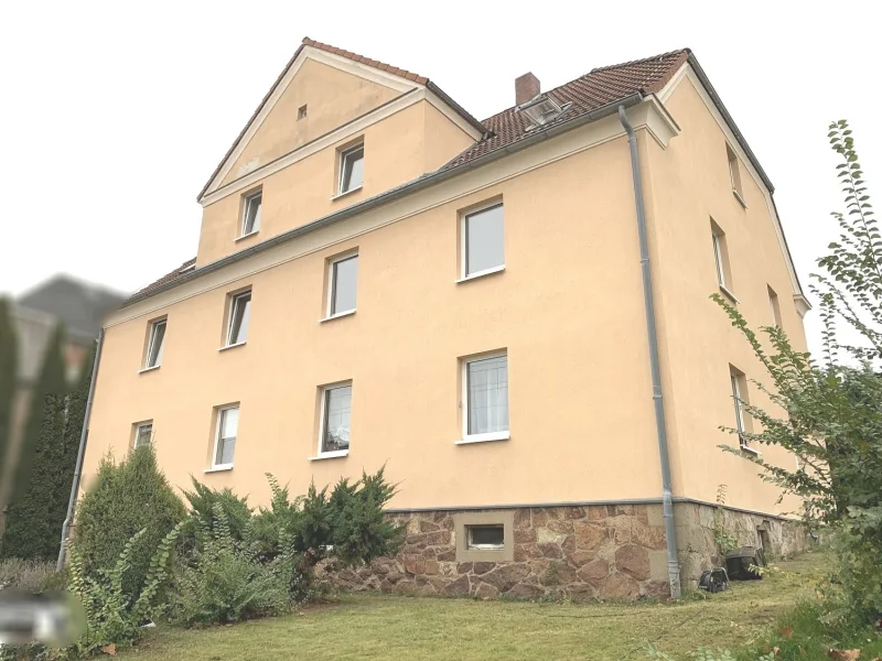 Straßenansicht - Haus kaufen in Döbeln - Saniertes MFH in Stadtrandlage