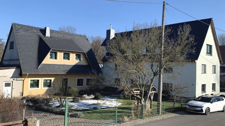 EFH + Mietobjekt - Haus kaufen in Leisnig - EFH+Mietobjekt mit Pool u. Doppelgarage