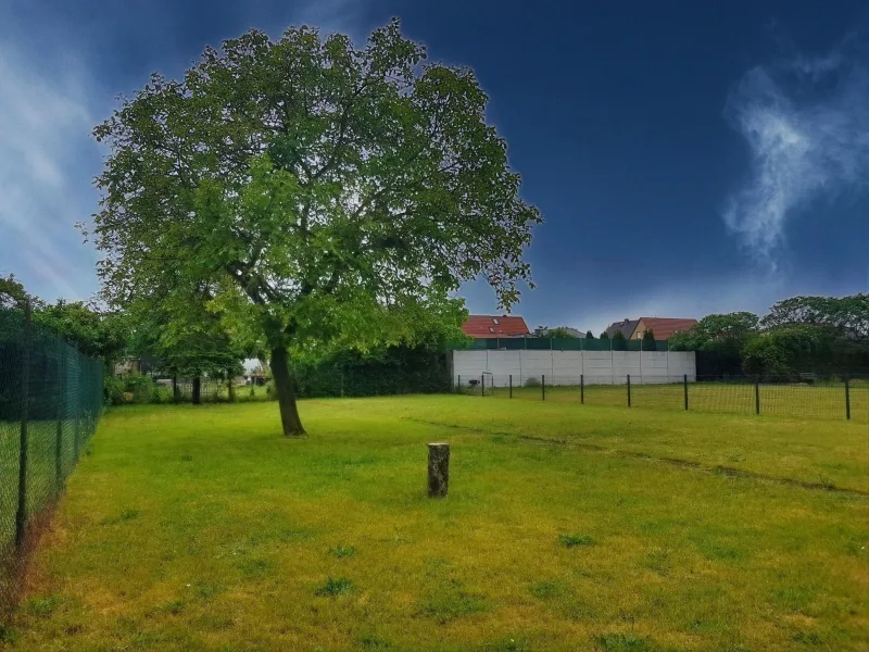 Blick auf den Garten