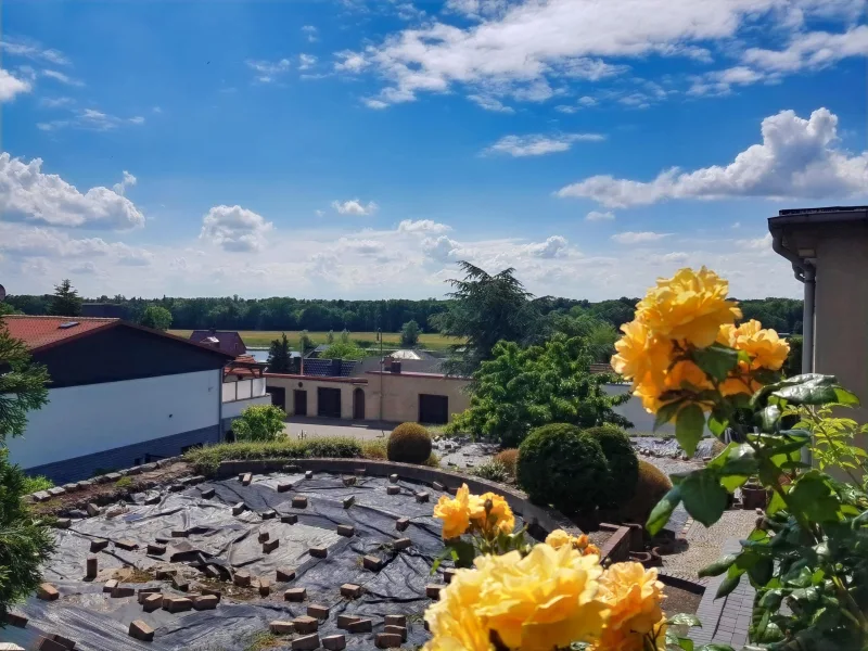 Blick auf die Havel