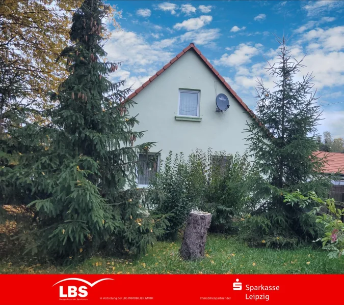 Blick vom Garten auf das Haus - Haus kaufen in Kitzscher - Freiheit pur: großes Haus mit großem Garten sucht Sie