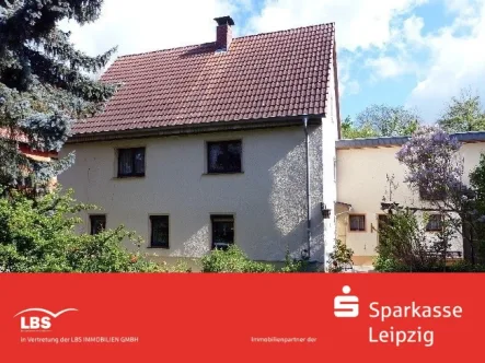 Südansicht - Haus kaufen in Mügeln - Interessantes Einfamilienhaus mit großem Grundstück.