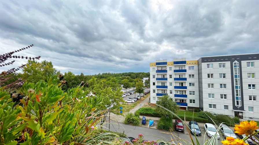 Ausblick vom Balkon