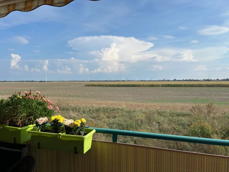 Balkon-Blick nach Süden