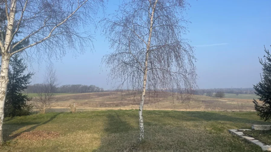 Blick auf das Feld