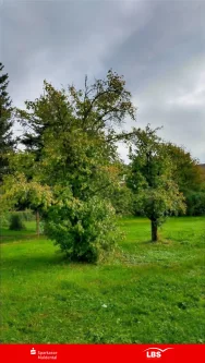  - Grundstück kaufen in Thallwitz - Machen Sie etwas draus!