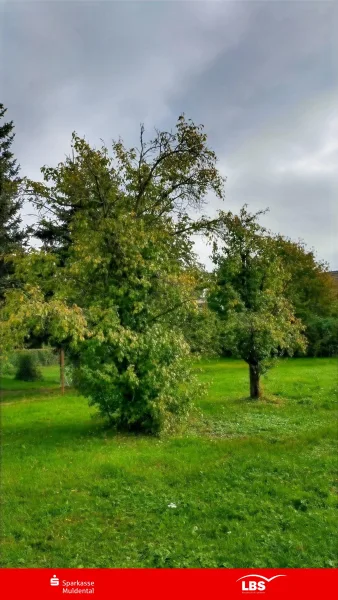  - Grundstück kaufen in Thallwitz - Machen Sie etwas draus!