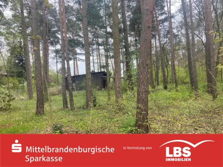 Straßenansicht - Grundstück kaufen in Michendorf - Besonderes Waldgrundstück!