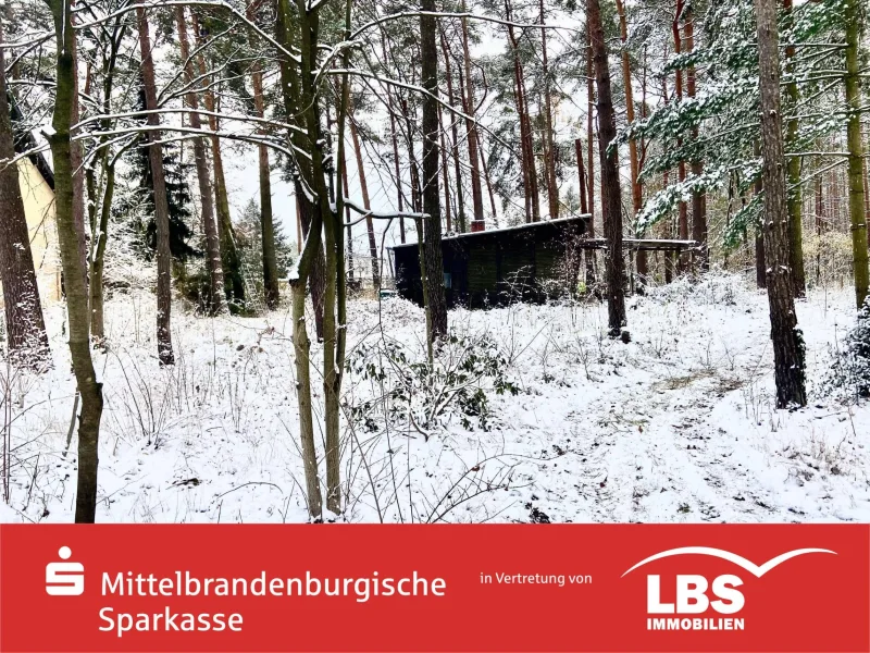 Straßenansicht - Grundstück kaufen in Michendorf - Besonderes Waldgrundstück!