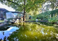 Der Teich im Garten