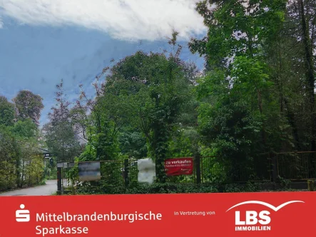 Blick von der Straße - Grundstück kaufen in Königs Wusterhausen - Wohnbaugrundstück in Senzig - 2. Reihe zum Wasser