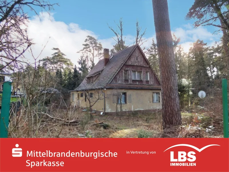 Straßenansicht - Haus kaufen in Michendorf - Ruhiges Wohnen in Waldrandlage