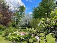 Traumhaft angelegter Garten