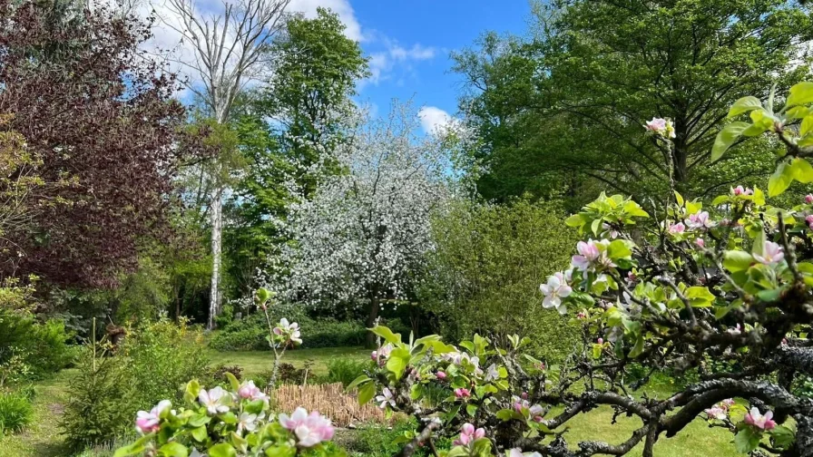 Traumhaft angelegter Garten