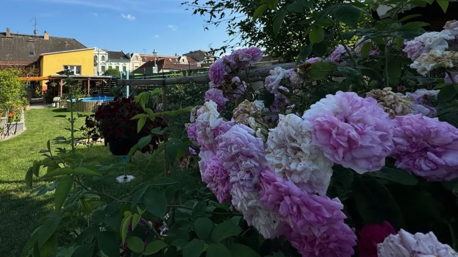 Idyllischer Garten