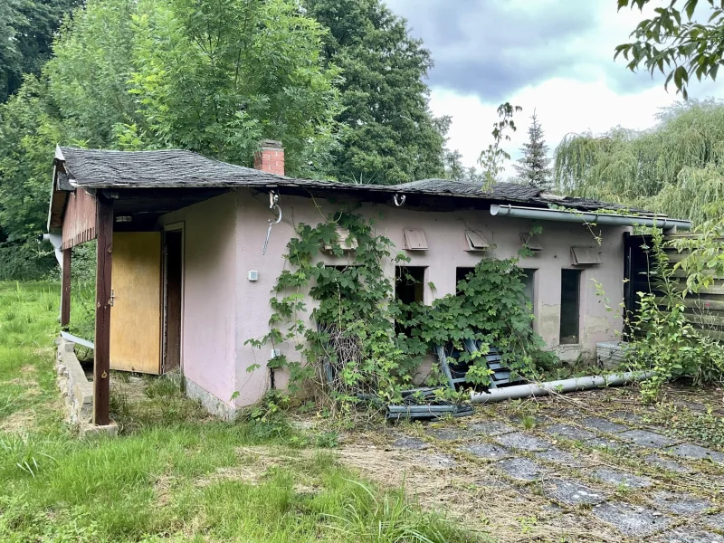 Das Gartenhaus braucht ein neues Dach.