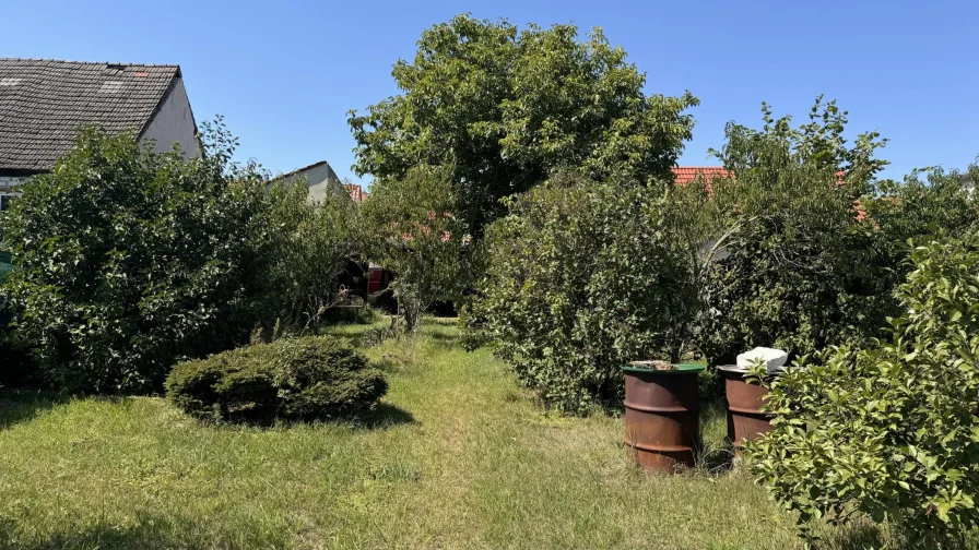 Blick aus dem Garten 