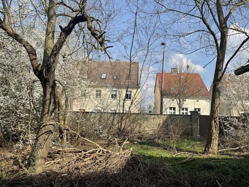 Kleiner verwilderter Teil