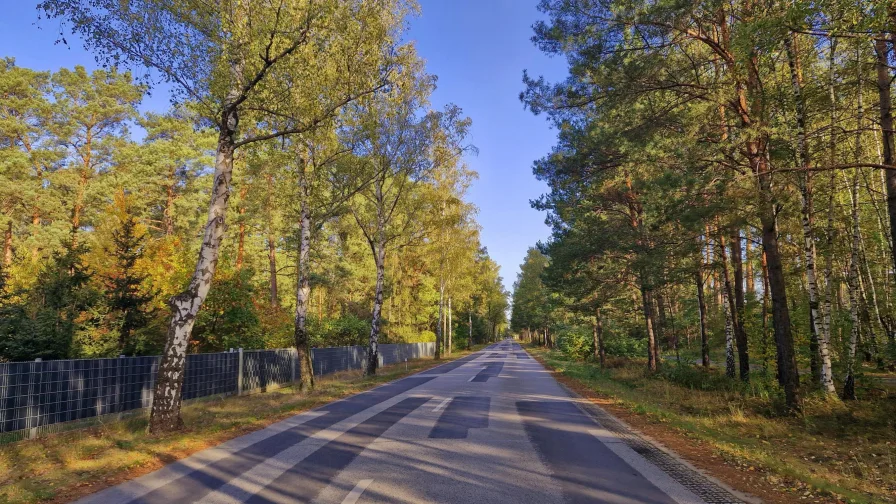 Landstraße Richtung Autobahn