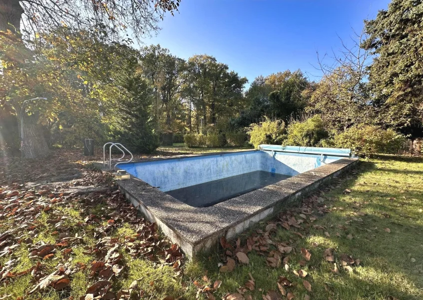 Swimmingpool im Garten