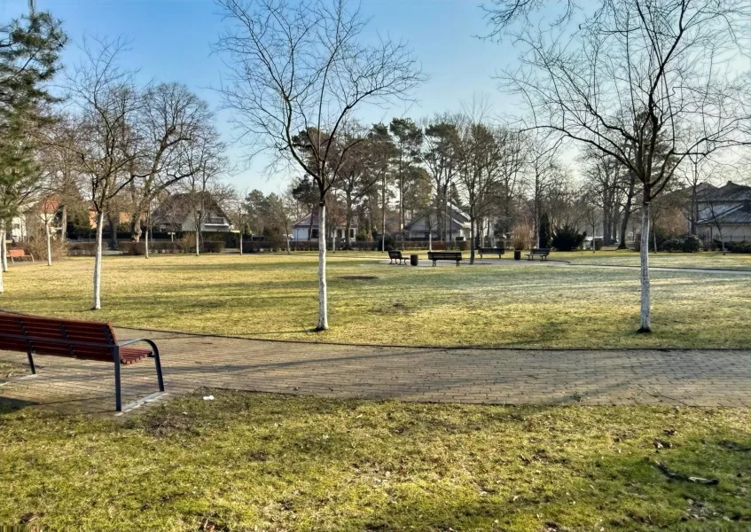 Der Park vor dem Haus