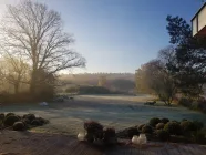 Garten im Morgennebel