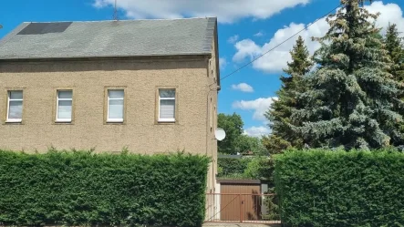 Ansicht - Haus kaufen in Klipphausen - Modernisieren Sie nach Ihren Wünschen!