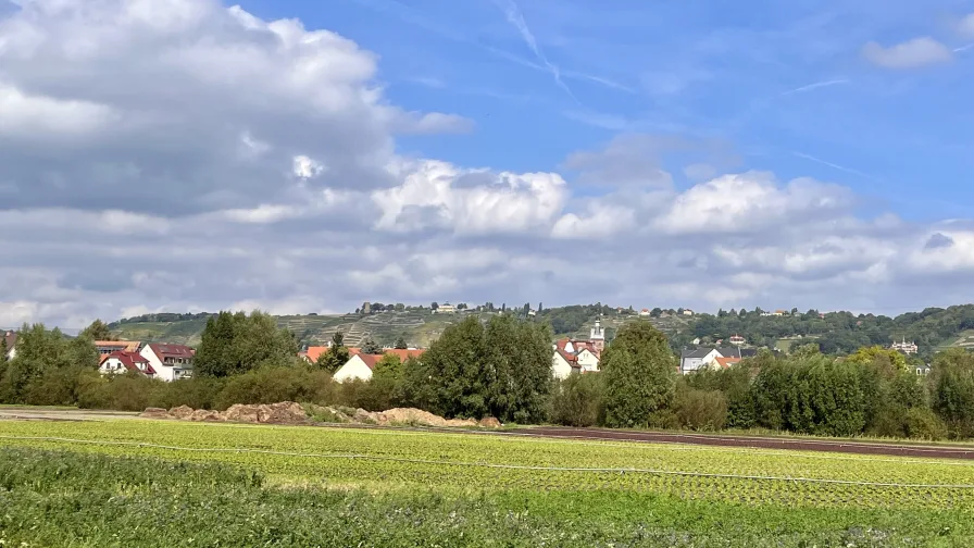 Blick auf die Weinberge und das Spitzhaus Radebeuls