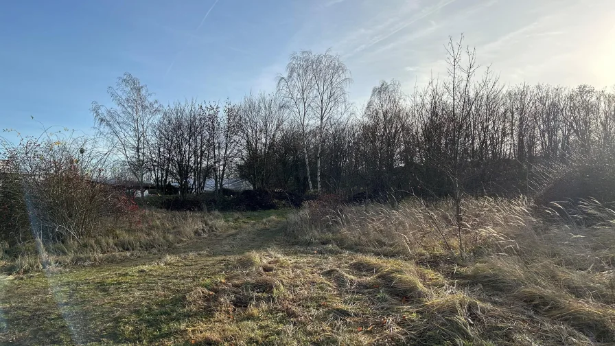 Grundstücksansicht - Grundstück kaufen in Kamenz - Attraktives Gewerbebauland in zentraler Lage