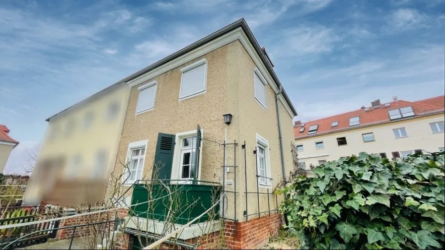 Rückansicht - Haus kaufen in Dresden - Uni-Viertel * Familienhaus mit Charme