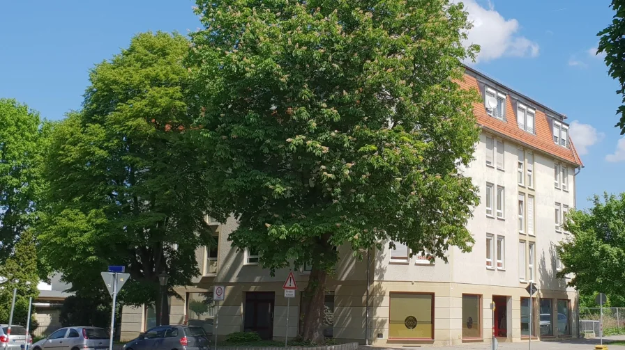 Ansicht - Wohnung kaufen in Dresden - Einzel- oder Doppelinvestment in Dresden-Löbtau
