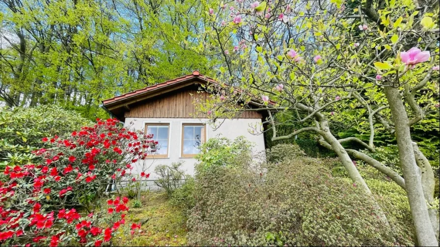 Ansicht - Haus kaufen in Steina - In der Natur entspannen am Gickelsberg - 01920 Steina